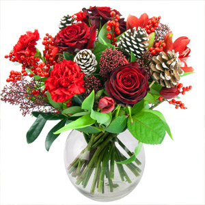 Ruby Red Christmas