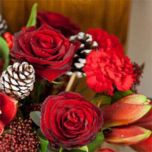 Ruby Red Christmas