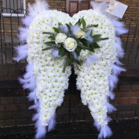 Angel Wings