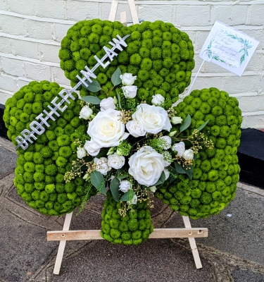 Shamrock
