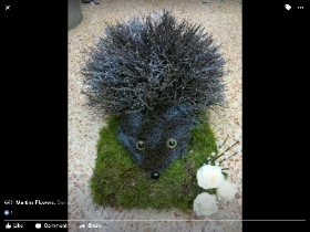 Hedgehog