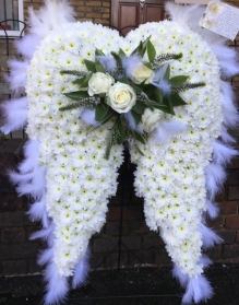 Angel wings
