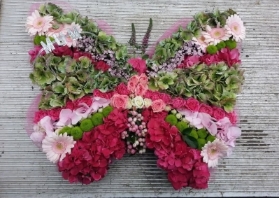 Butterfly.